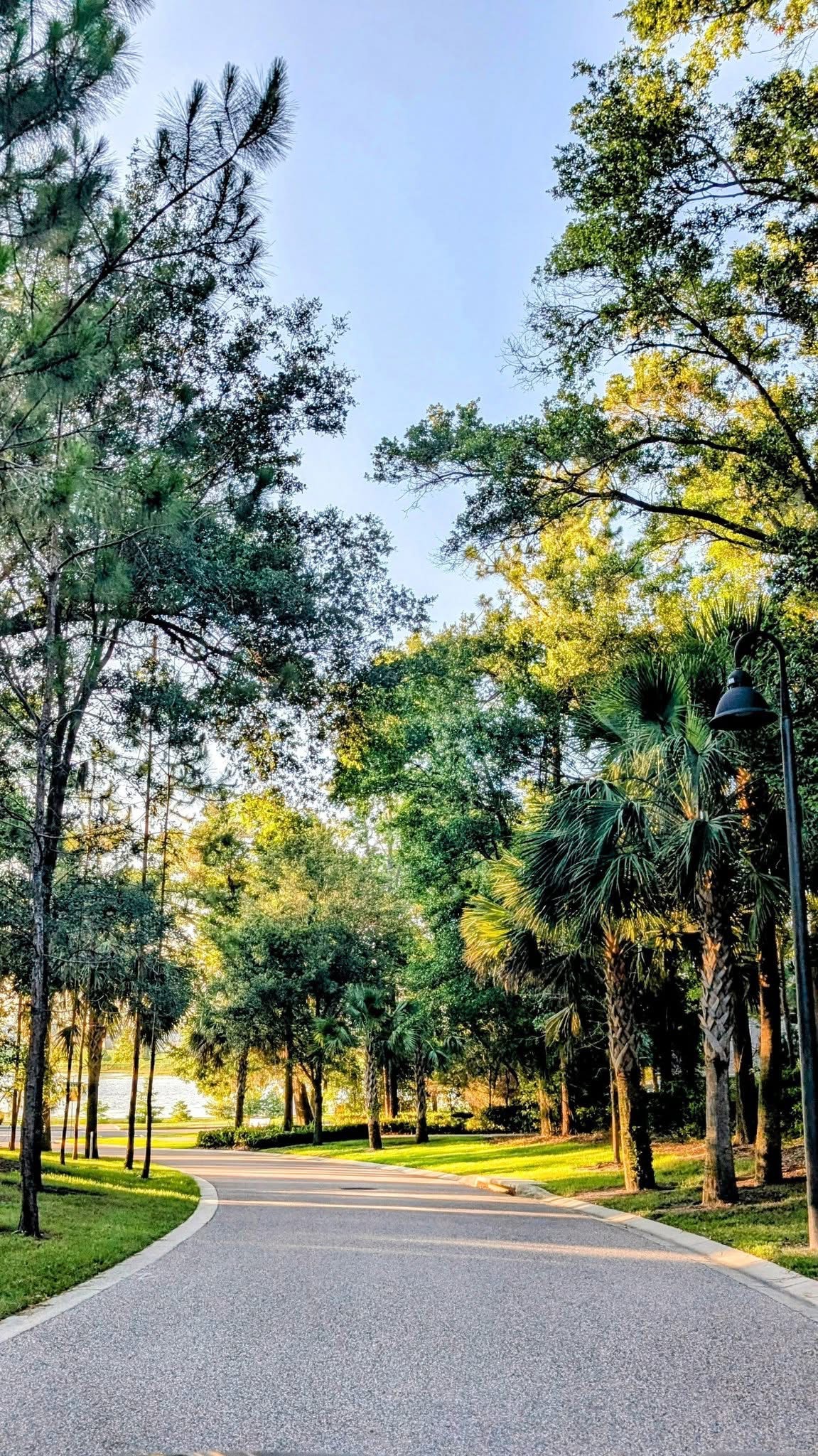 @michaelalfredophoto