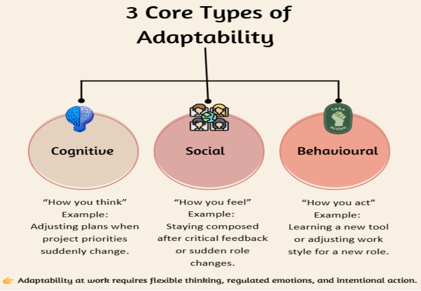 types of adaptability 1to1help