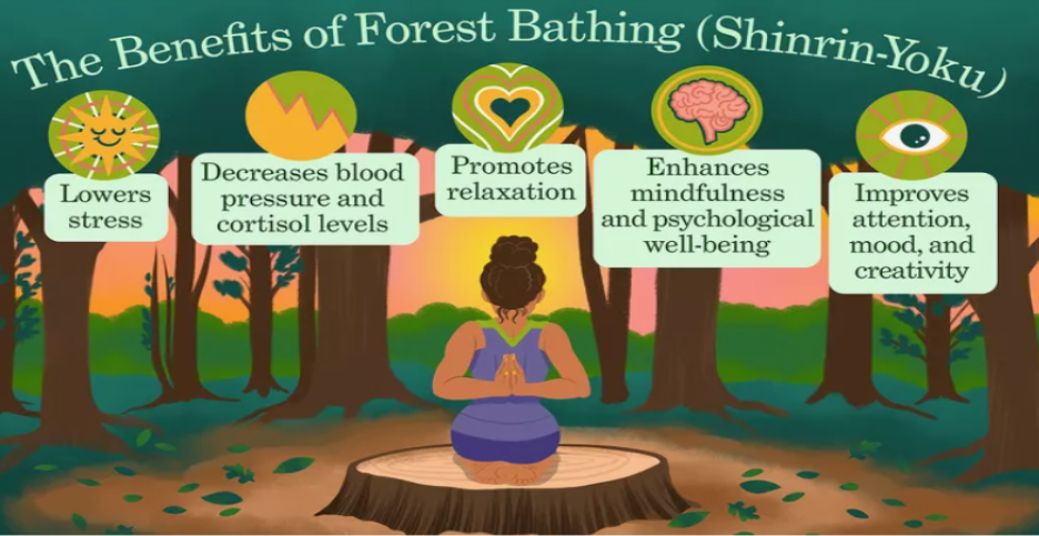 forest bathing 1to1help 
