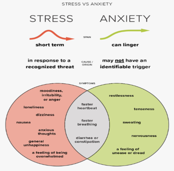 stress vs anxiety 1to1help