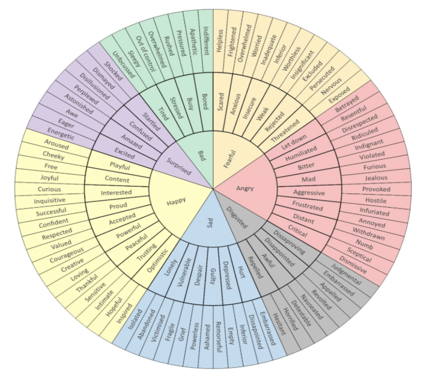 labelling emotions 1to1help