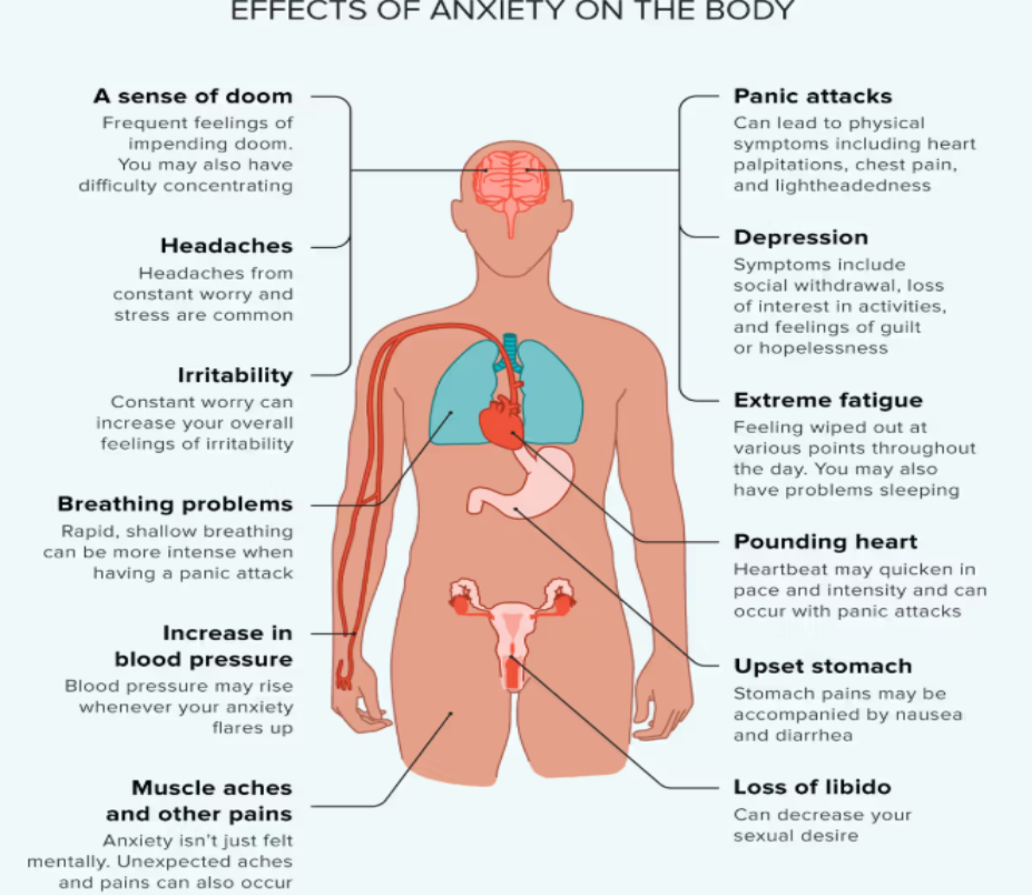 effects of anxiety on body