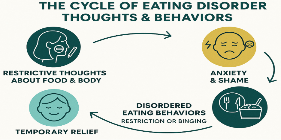 the cycle of eating disorder