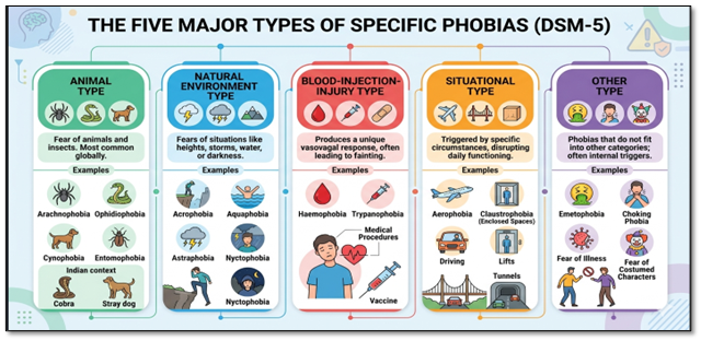 5 major types of phobias