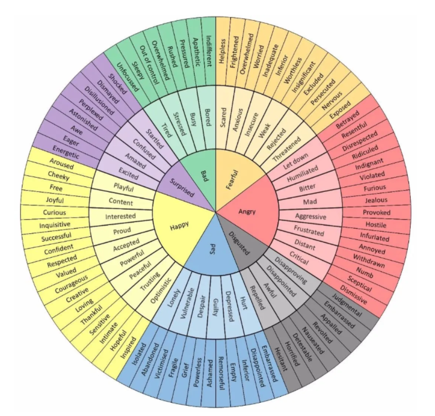 the feelings wheel