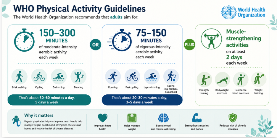WHO physical activity guidelines