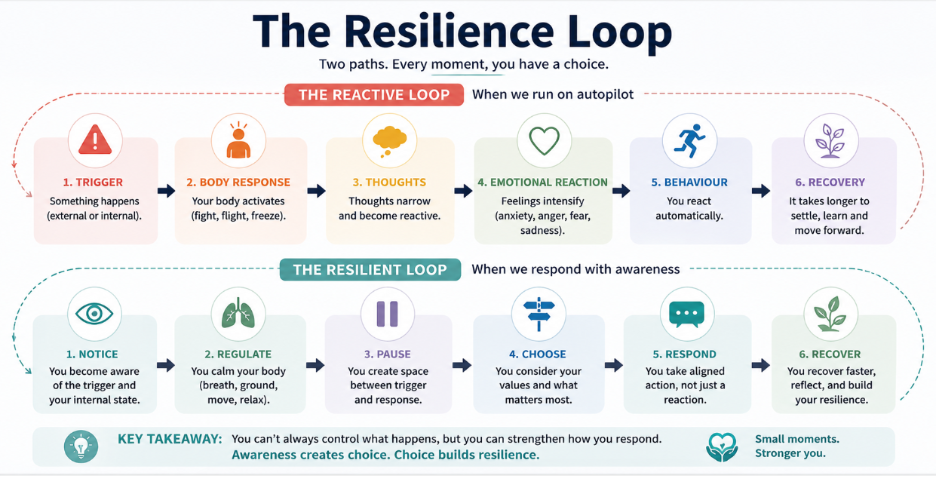 the resilience loop