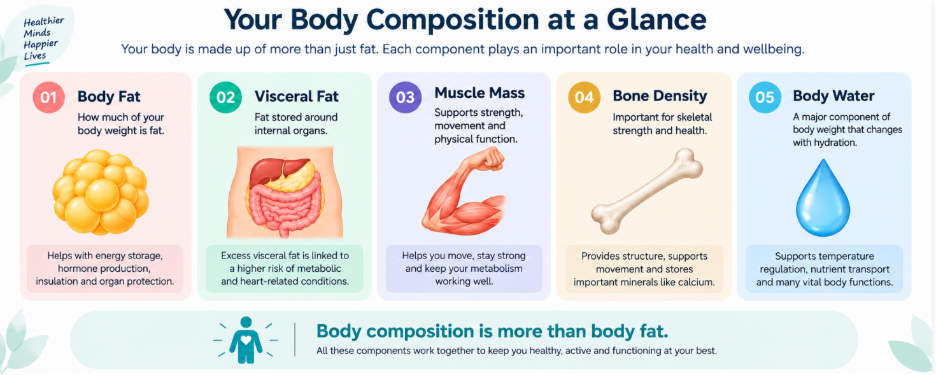 body composition at a glance