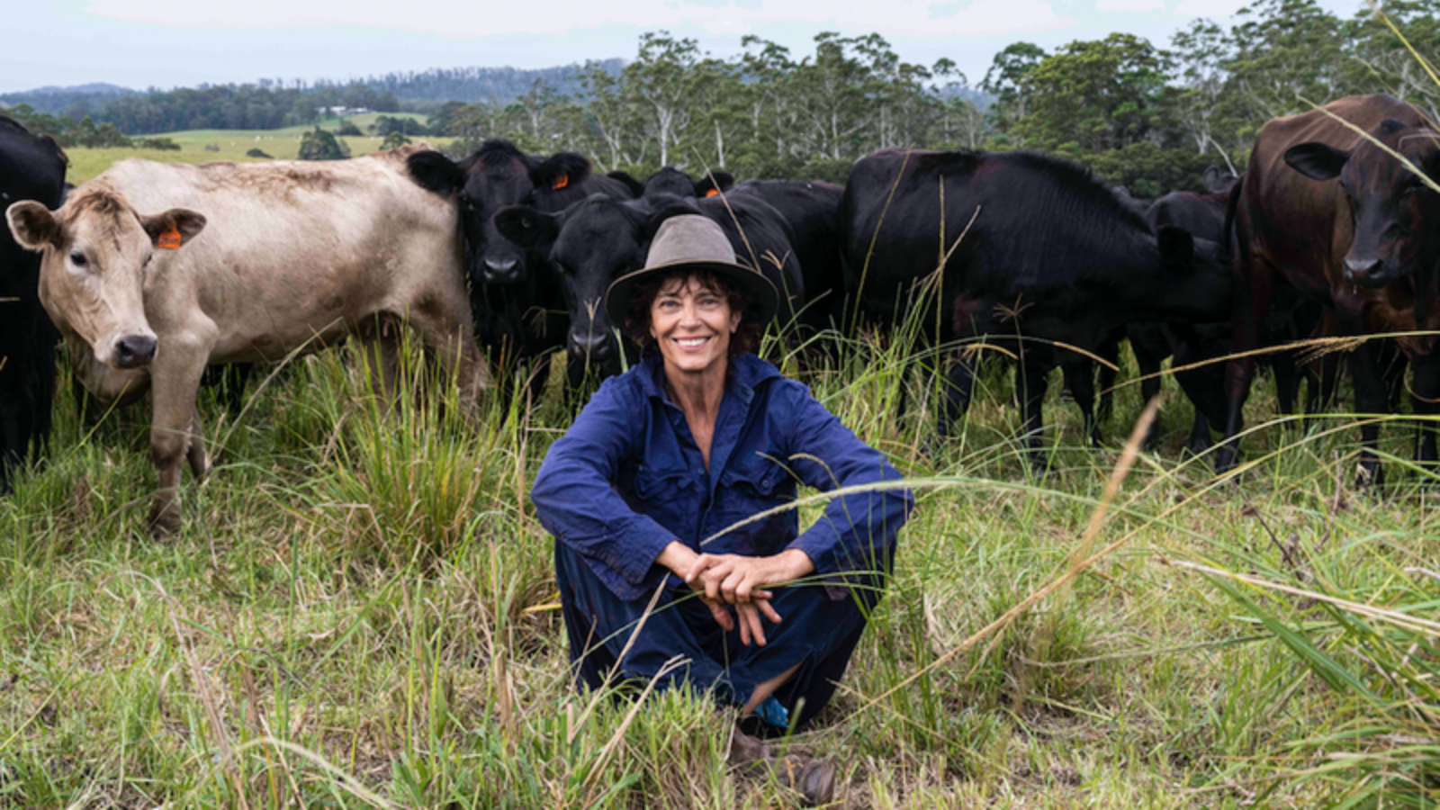 Farmthru: how a regenerative farmer built a grocery store that actually knows its farmers