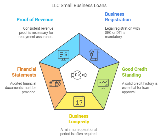 Eligibility Criteria For LLC Small Business Loans in The Philippines