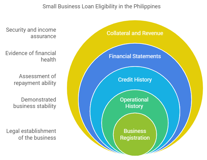 Eligibility Criteria For Applying For Private Small Business Loans in The Philippines