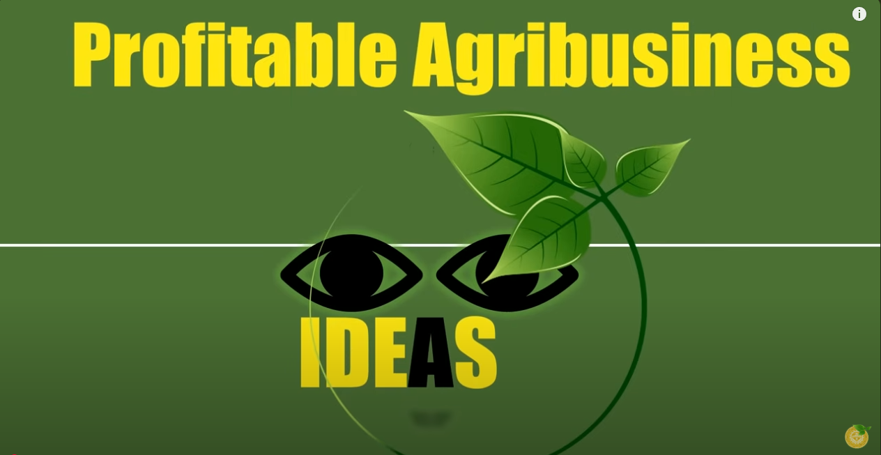 Agribusiness