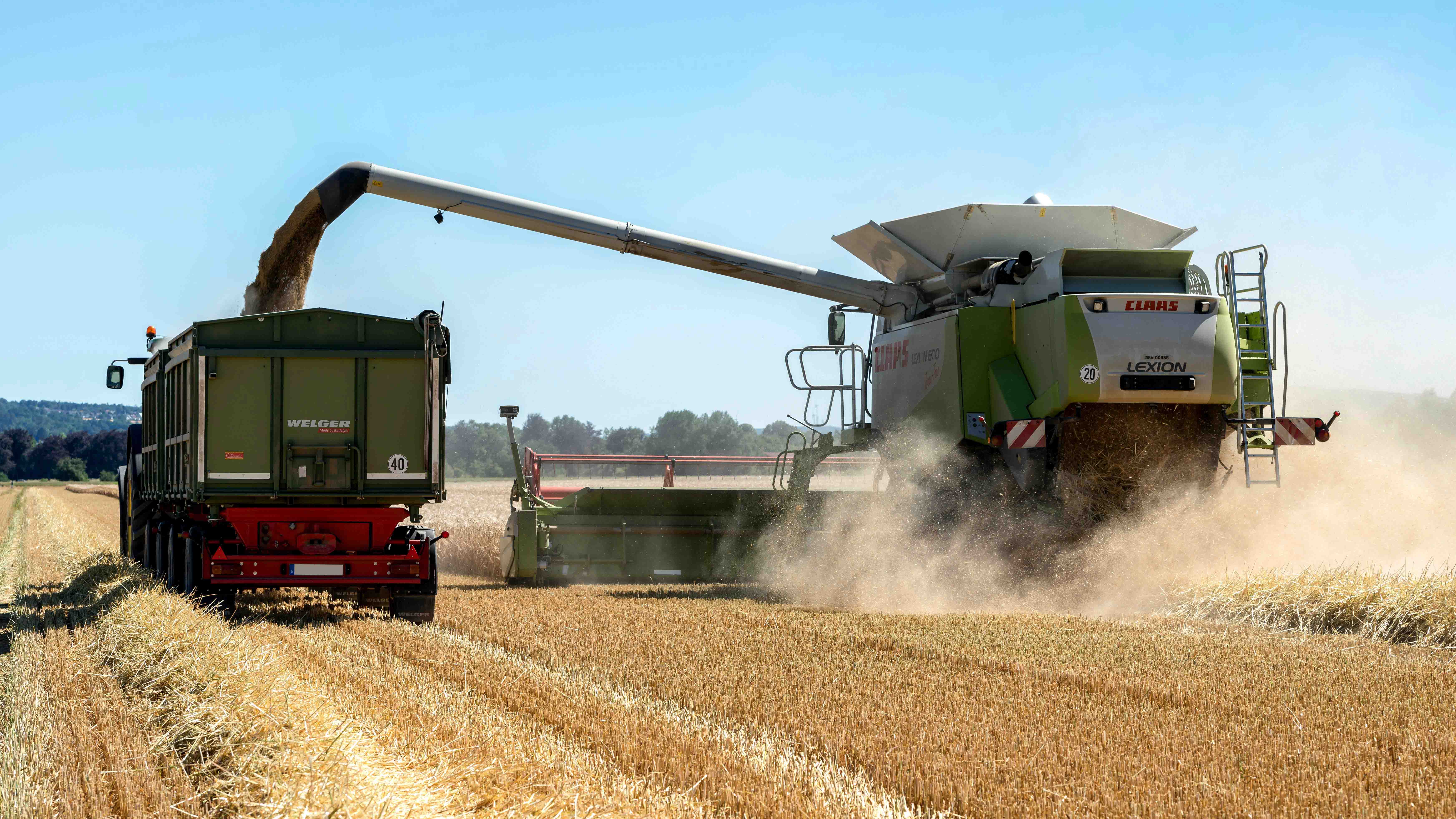 Die anhaltende Trockenheit sorgt für Ernteausfälle beim Grundfutter – erfahren Sie, welche Ausnahmeregelungen es für Bio-Betriebe gibt und wie Sie eine Genehmigung beantragen.