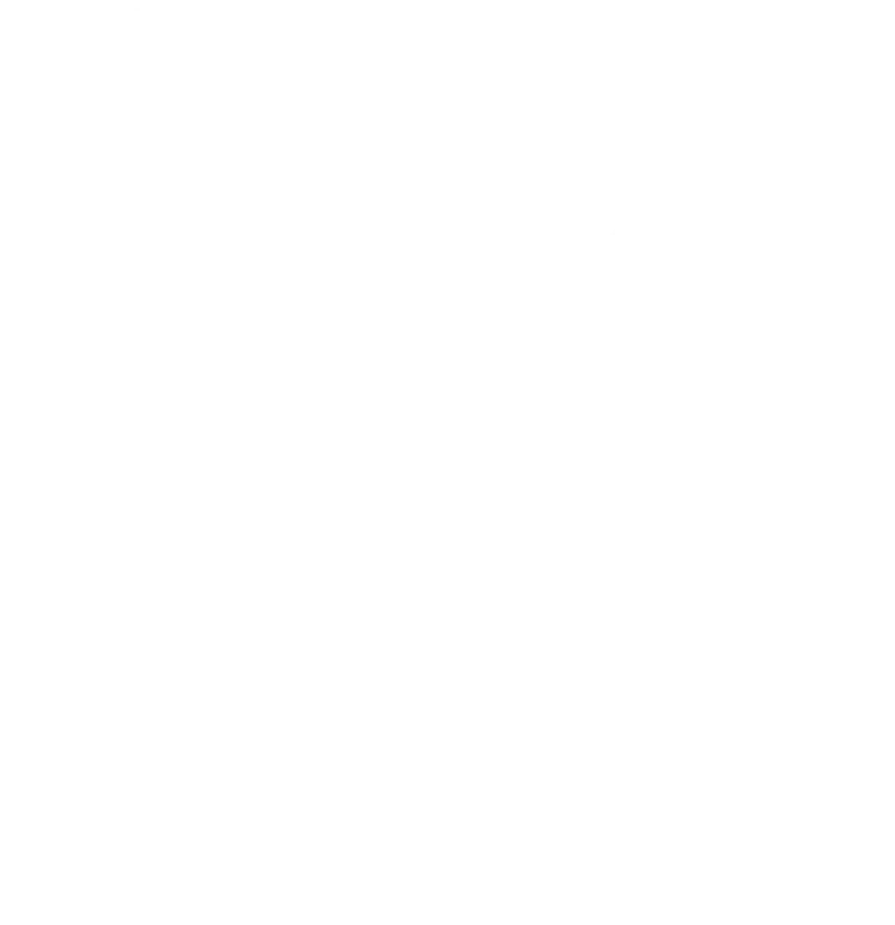 Brizon – Tanzunterricht und Performance – Häkchen-Symbol