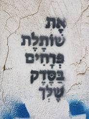 גרפיטי: את שותלת פרחים בסדק שלך