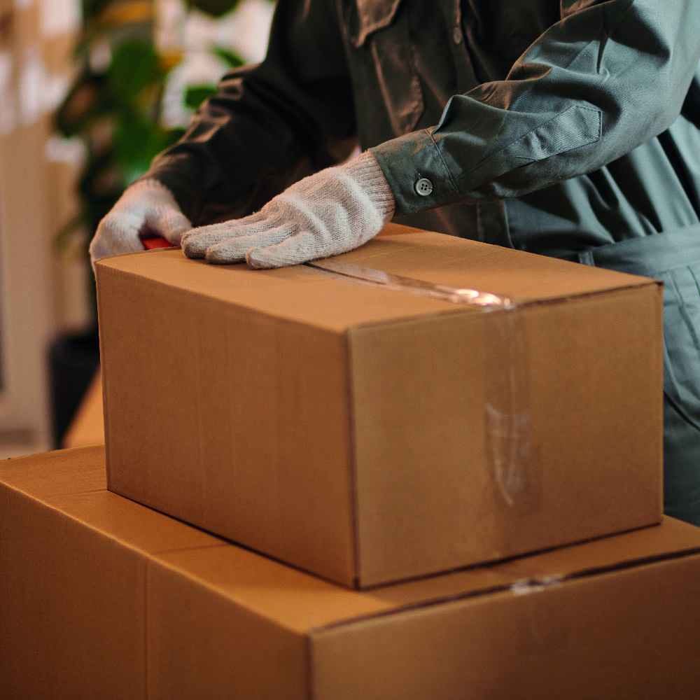 Entrümpelung & Entsorgung