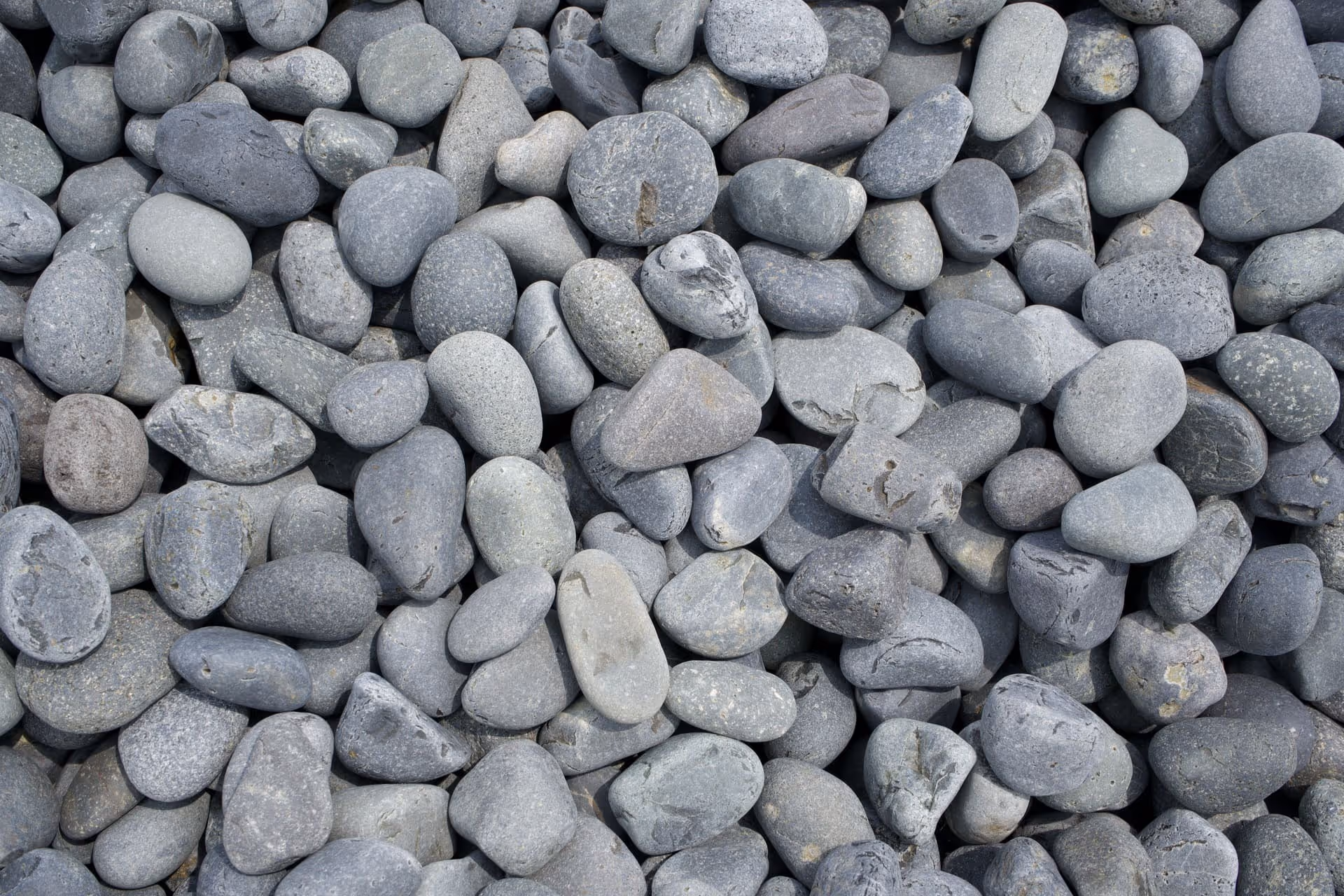 Mexican Beach Pebble 1" - 2"