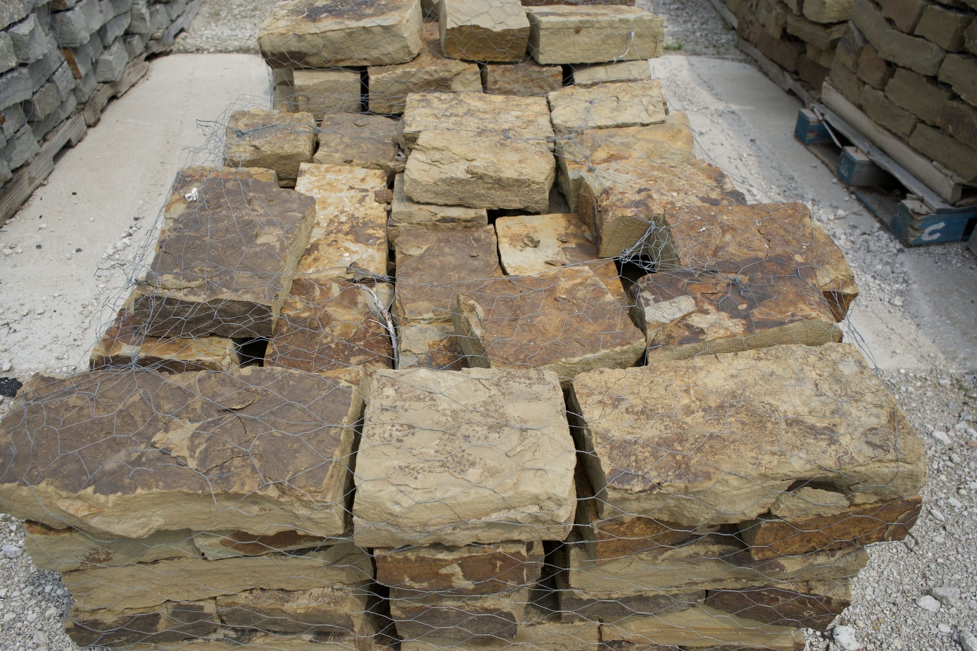 Natural Blackhills Rustic 8"