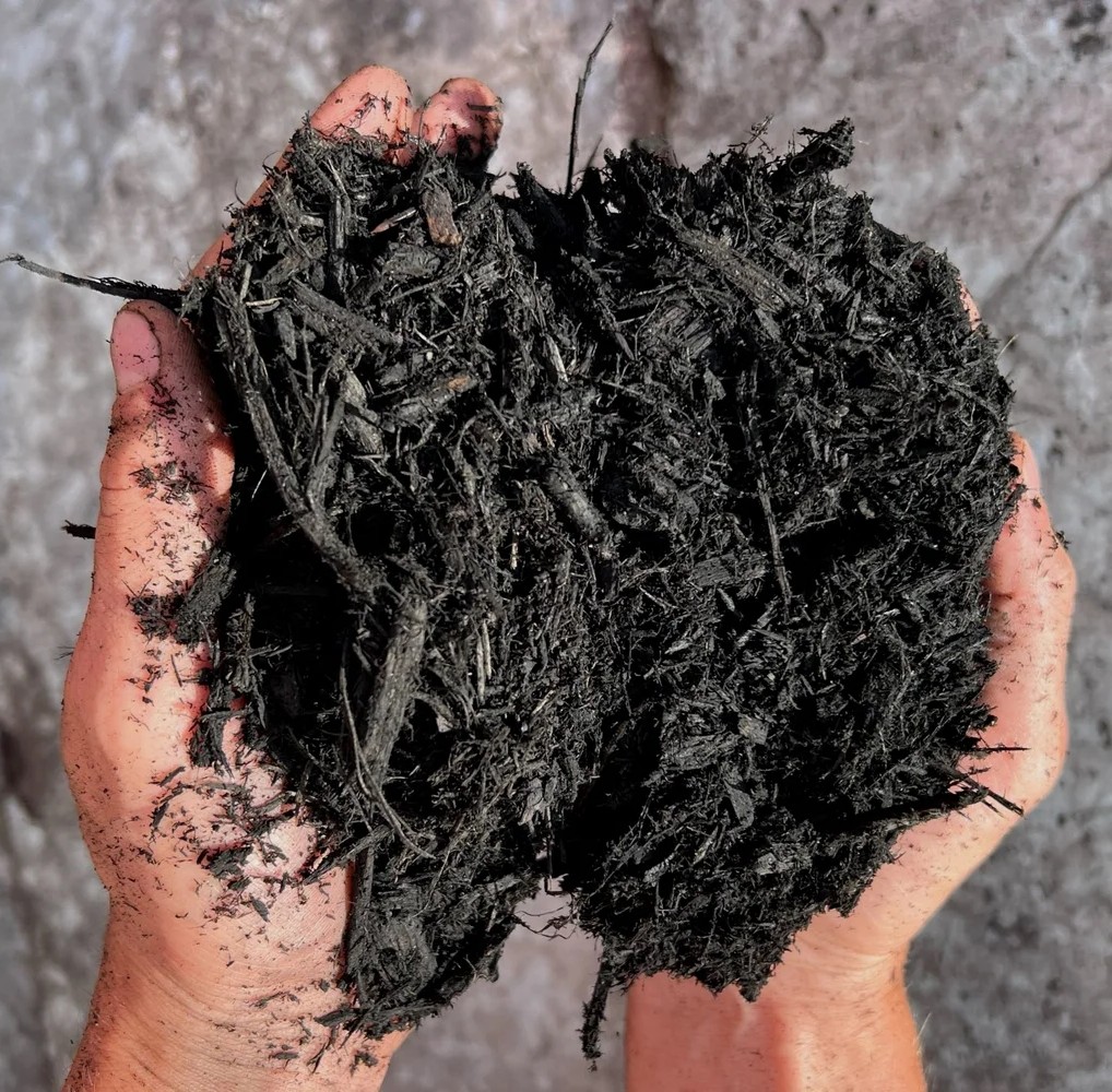 Black Mulch