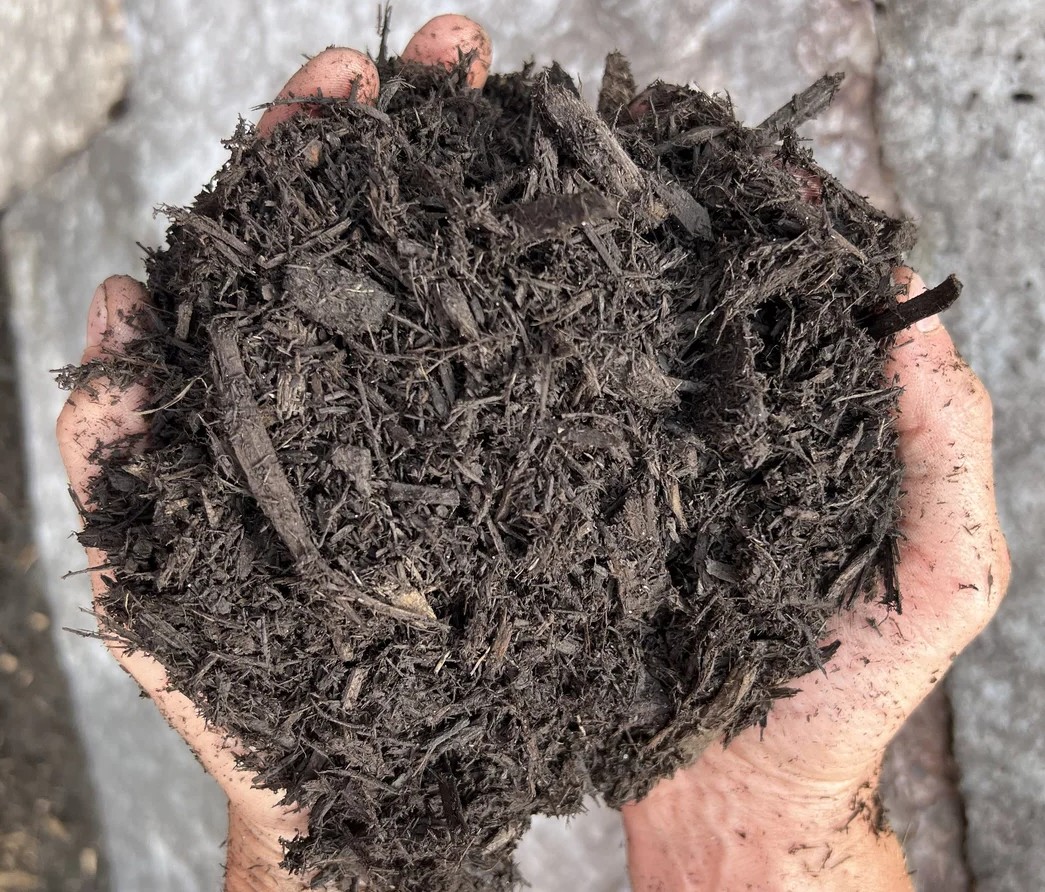 Dark Brown Mulch
