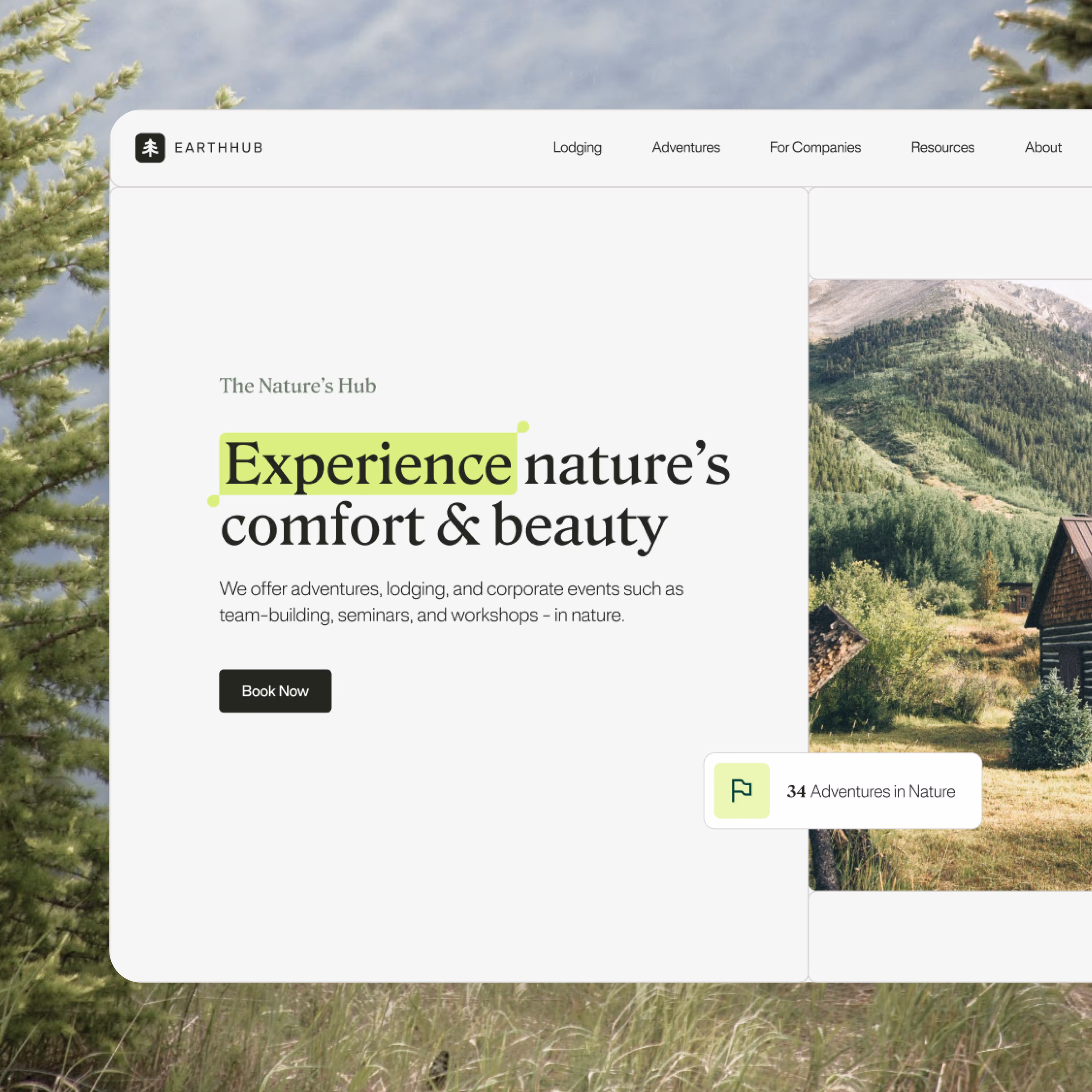 An image showcasing a website design for experiences platform EarthHub