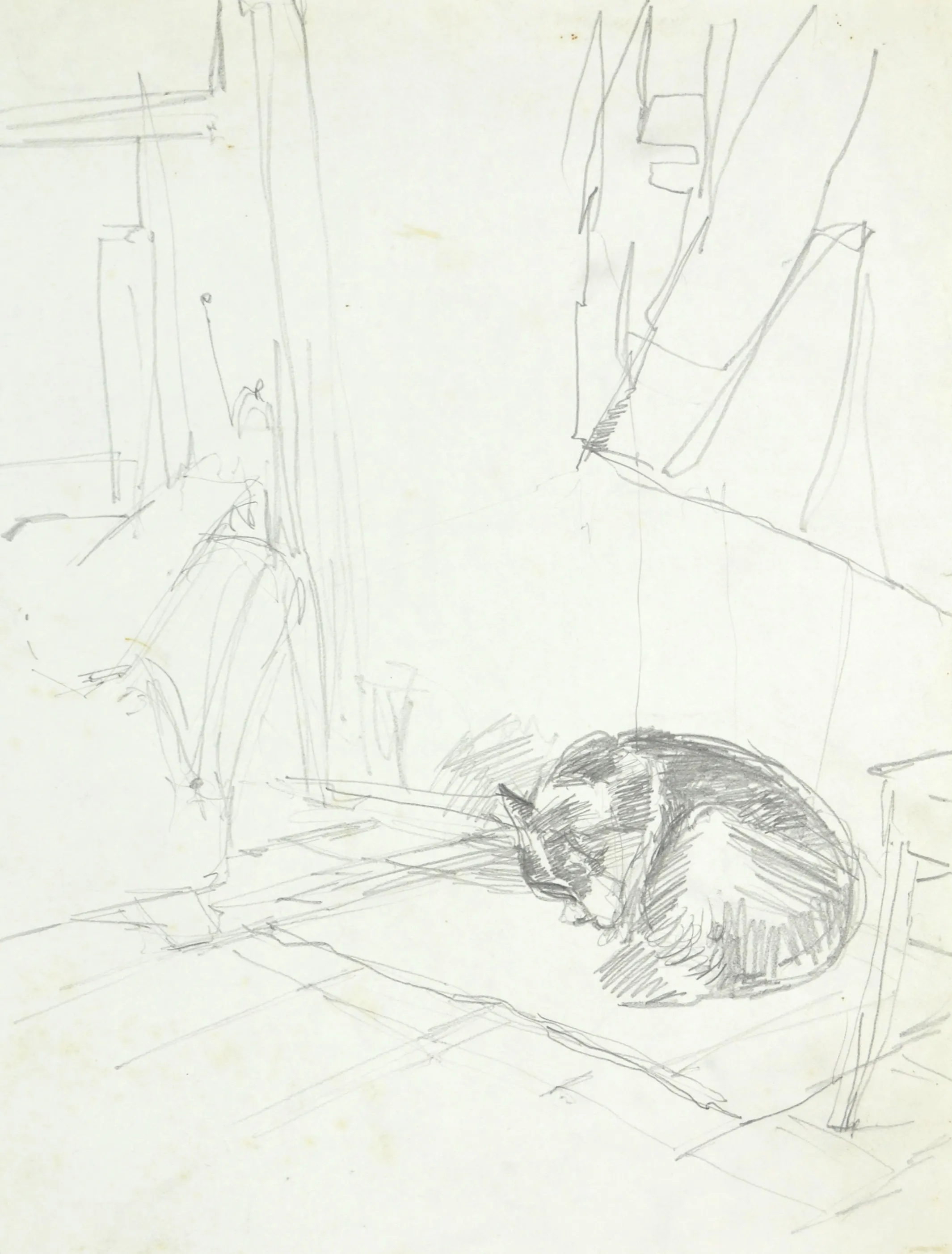 Pencil sketch of a cat curled up sleeping on the floor near a window and furniture outlines.