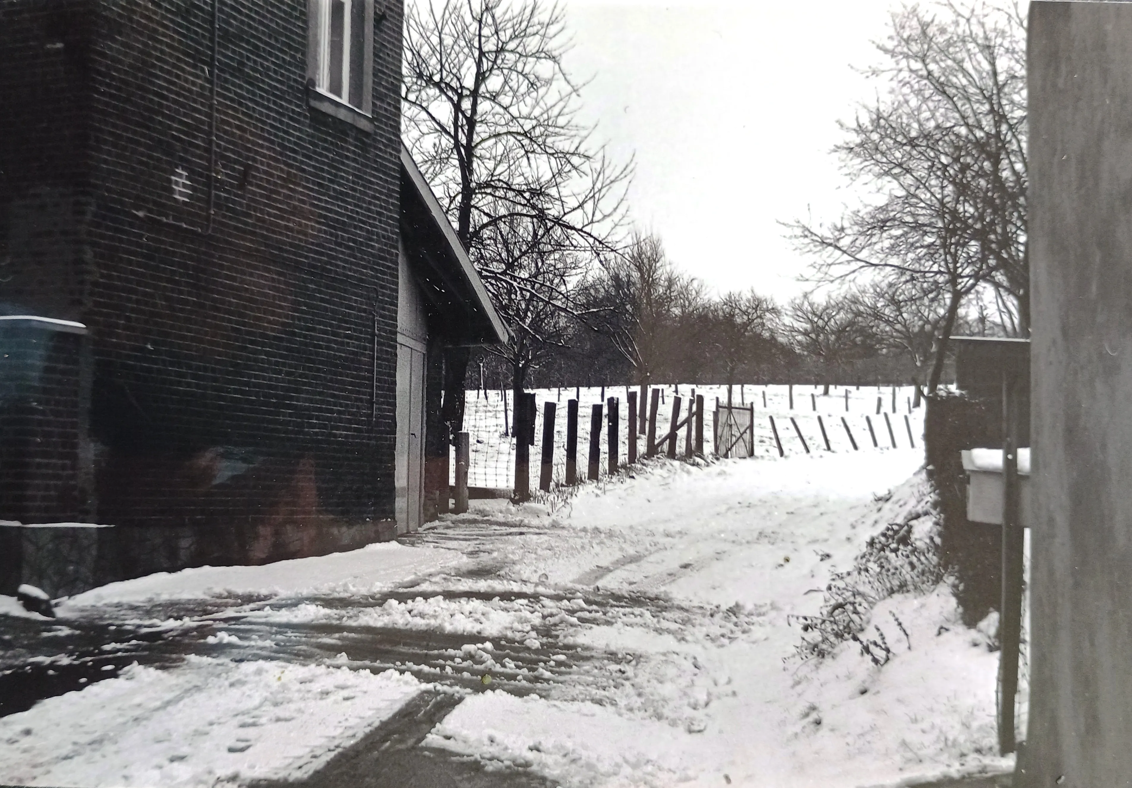 Snow-covered driveway next to a brick house leading to a snow-covered fenced field with leafless trees.