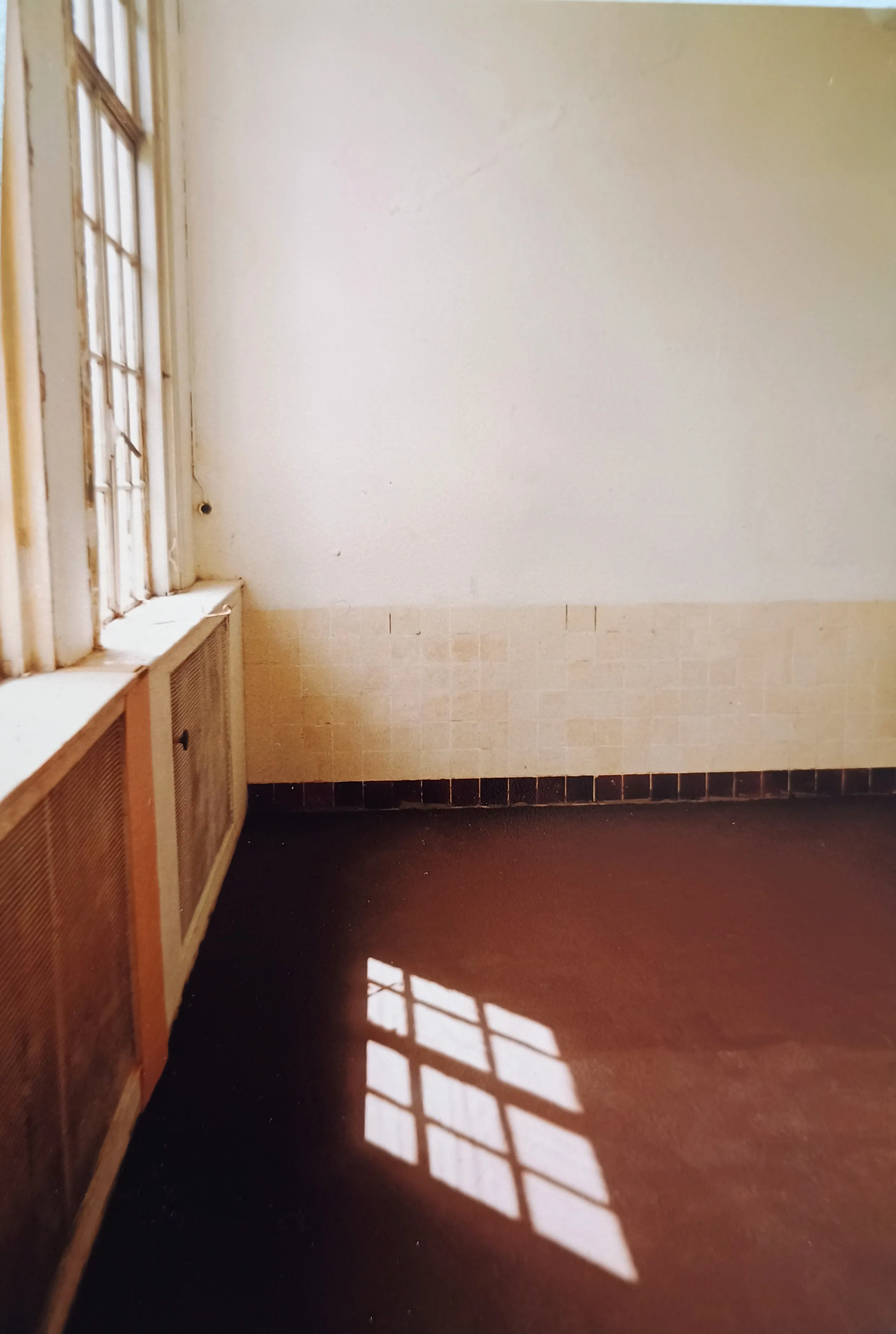 Sunlight casting a window grid shadow on a dark brown floor in an empty room with tiled lower walls and large window panels.