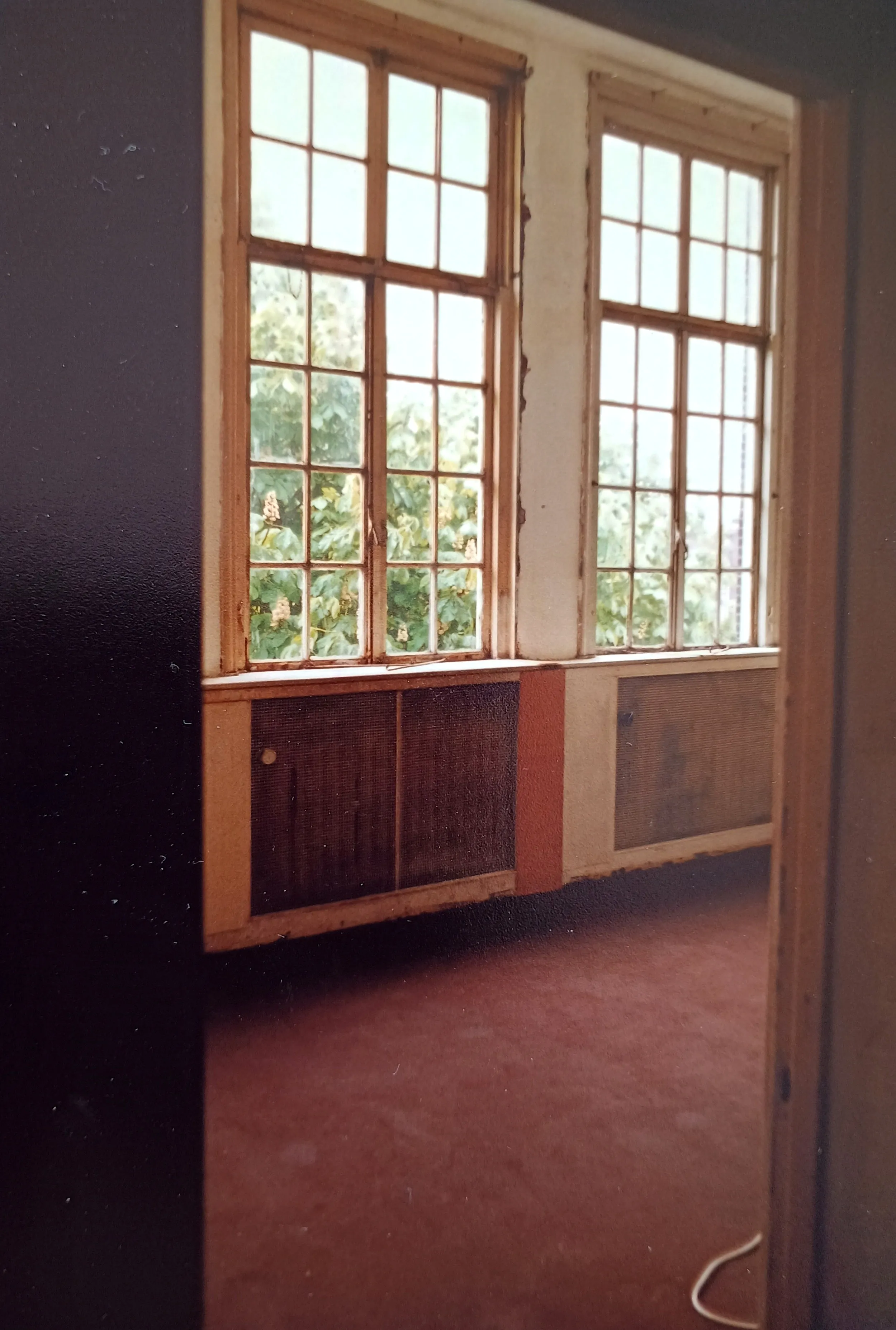 Two large wooden-framed windows overlooking green foliage, above radiators and a reddish carpeted floor in a dimly lit room.