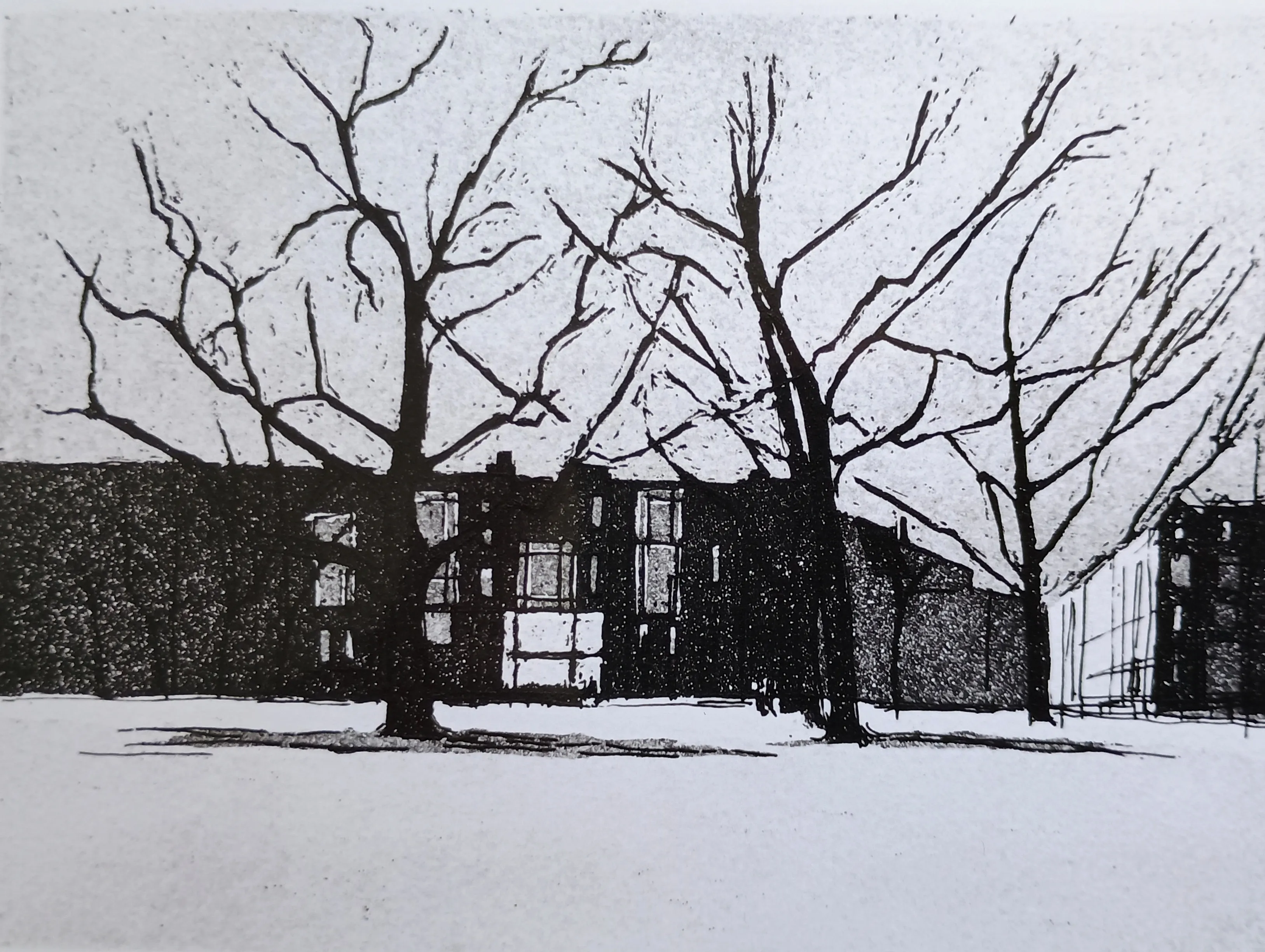 Black and white etching of leafless trees in front of row houses with prominent windows.