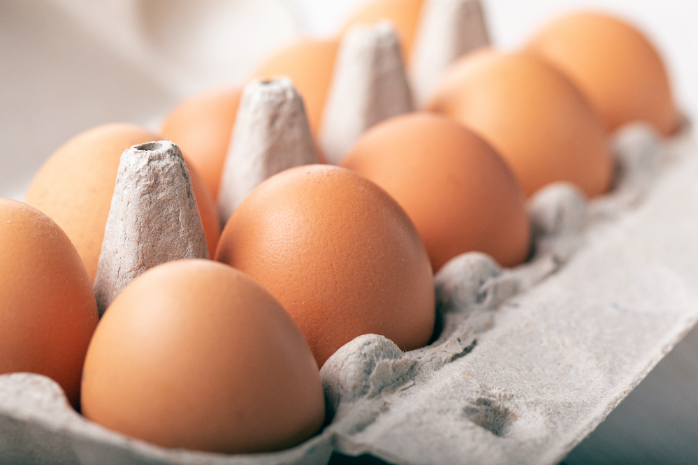 Nahaufnahme-von-Eiern-in-Eierverpackung