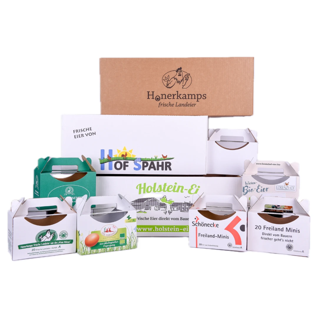 viele-induviduelle-verschiedene-Kartonagen