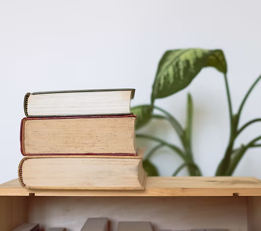 Three stacked hardcover books on a wooden shelf with a blurred green plant in the background.
