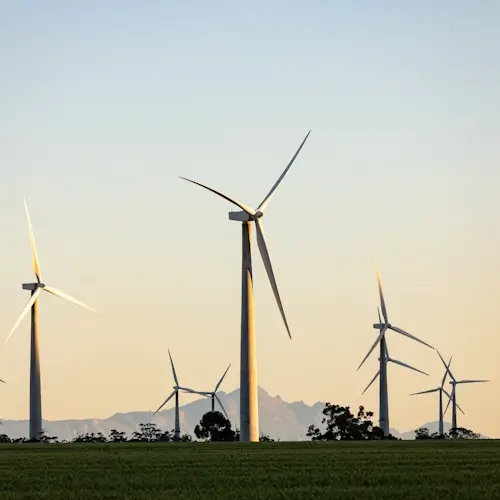 Wind farm