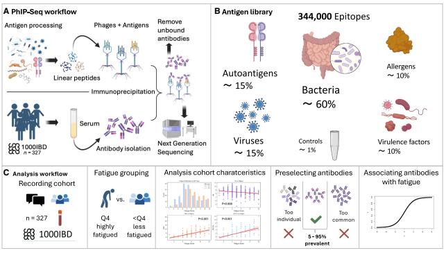 Tracing immune signatures of fatigue in inflammatory bowel disease