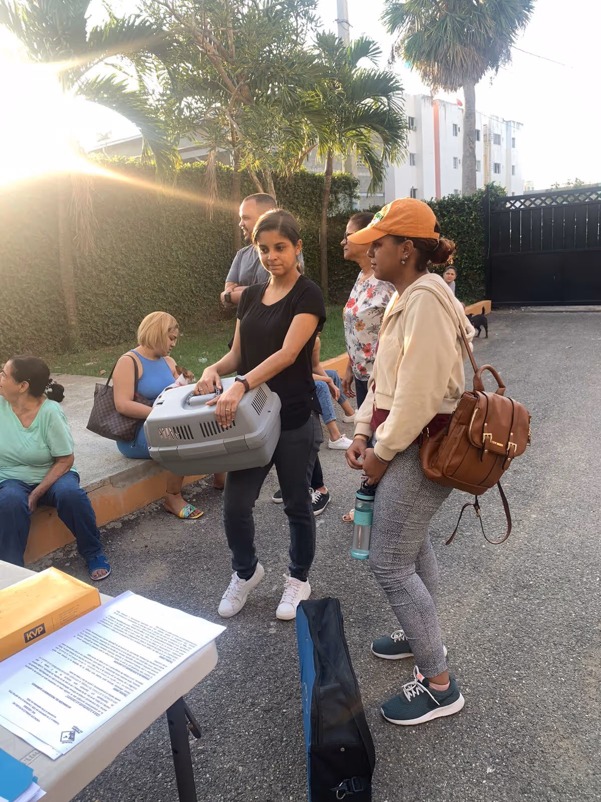 Animales en Peligro spay and neuter campaign, Dominican Republic