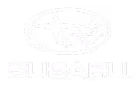 Subaru Logo