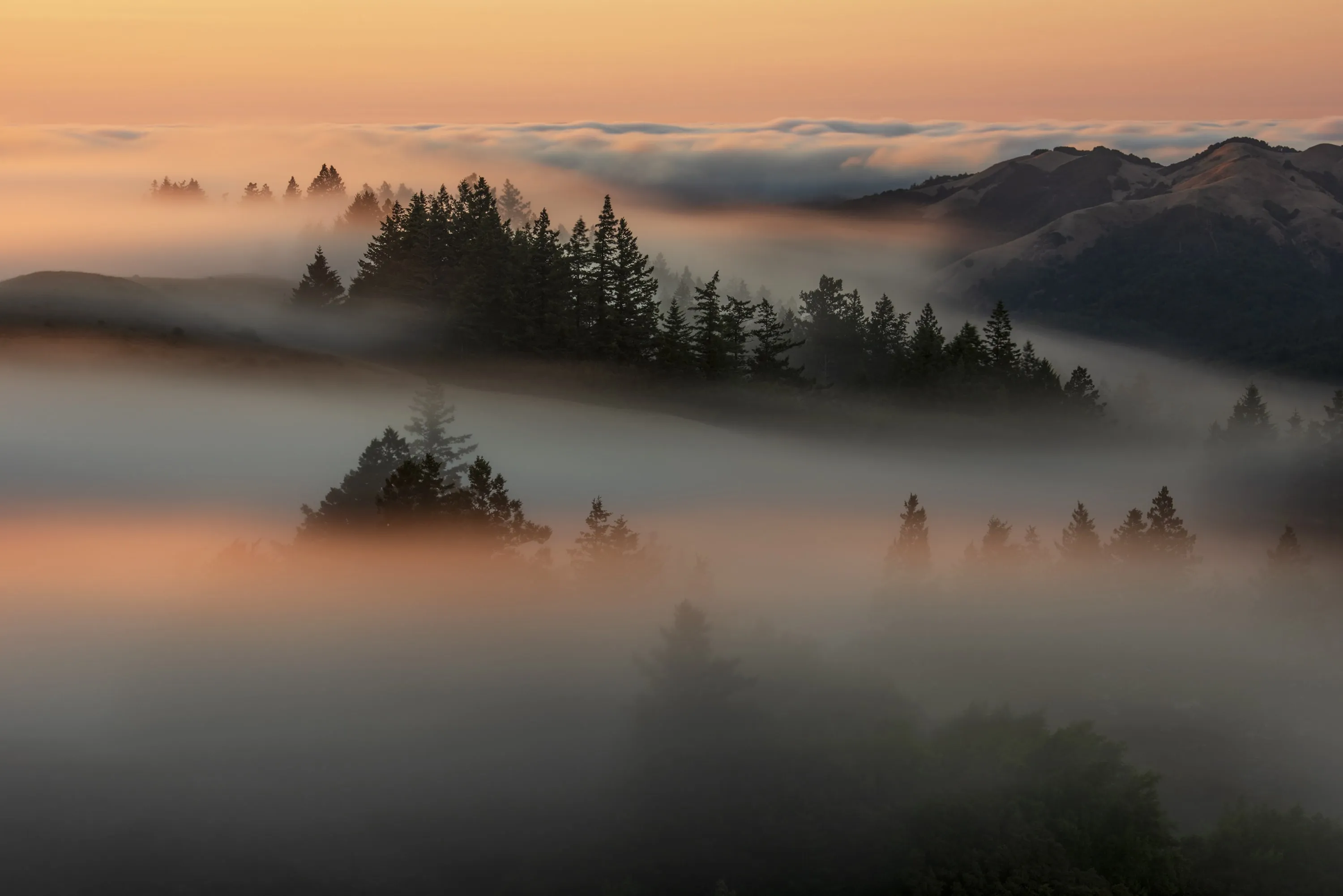 Dense fog and mist flowing through a forested mountainous landscape at sunrise.