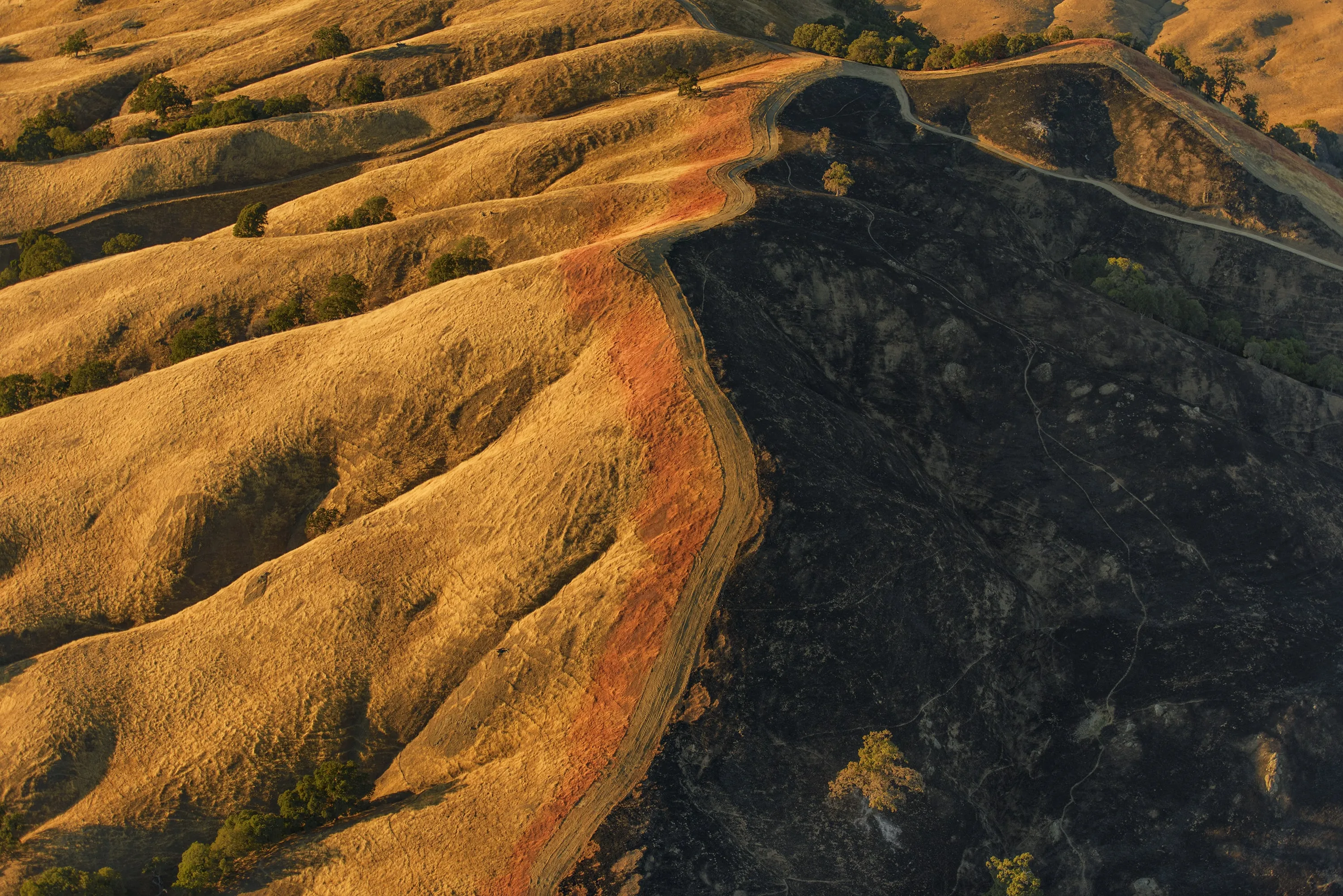 Aerial view of a hillside with half covered in dry golden grass and the other half scorched black from fire, separated by a narrow dirt path.
