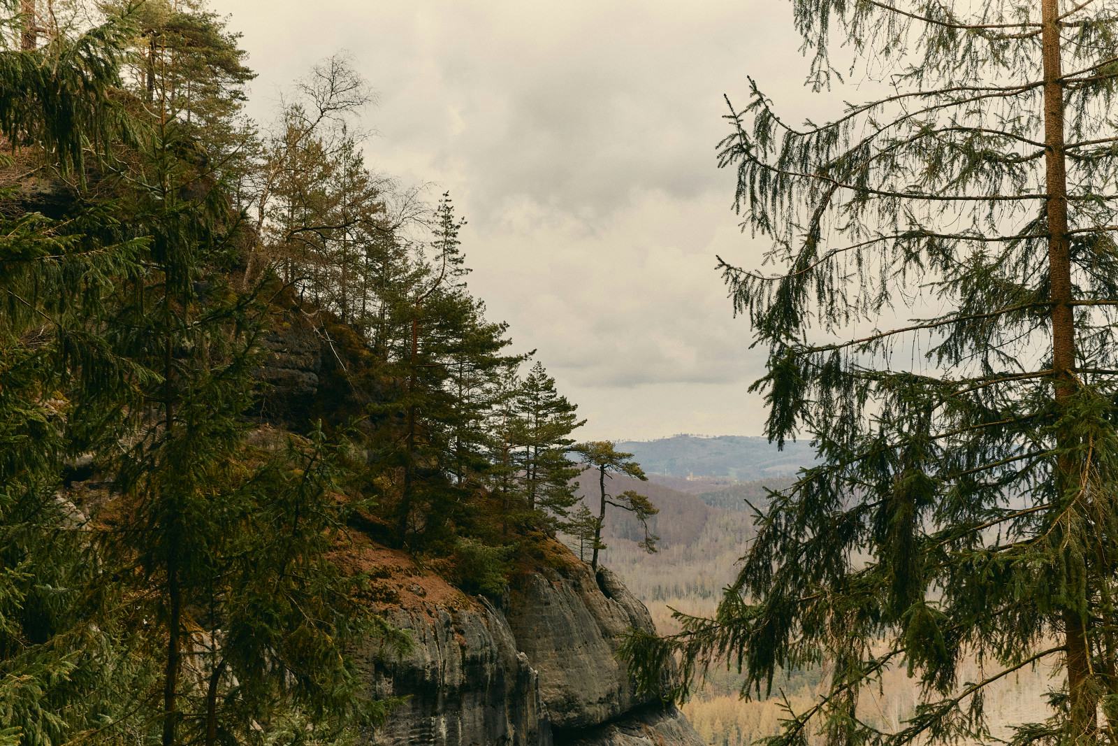 Scenic view from a hillside cliff overlooking a forest and distant mountains under cloudy sky.