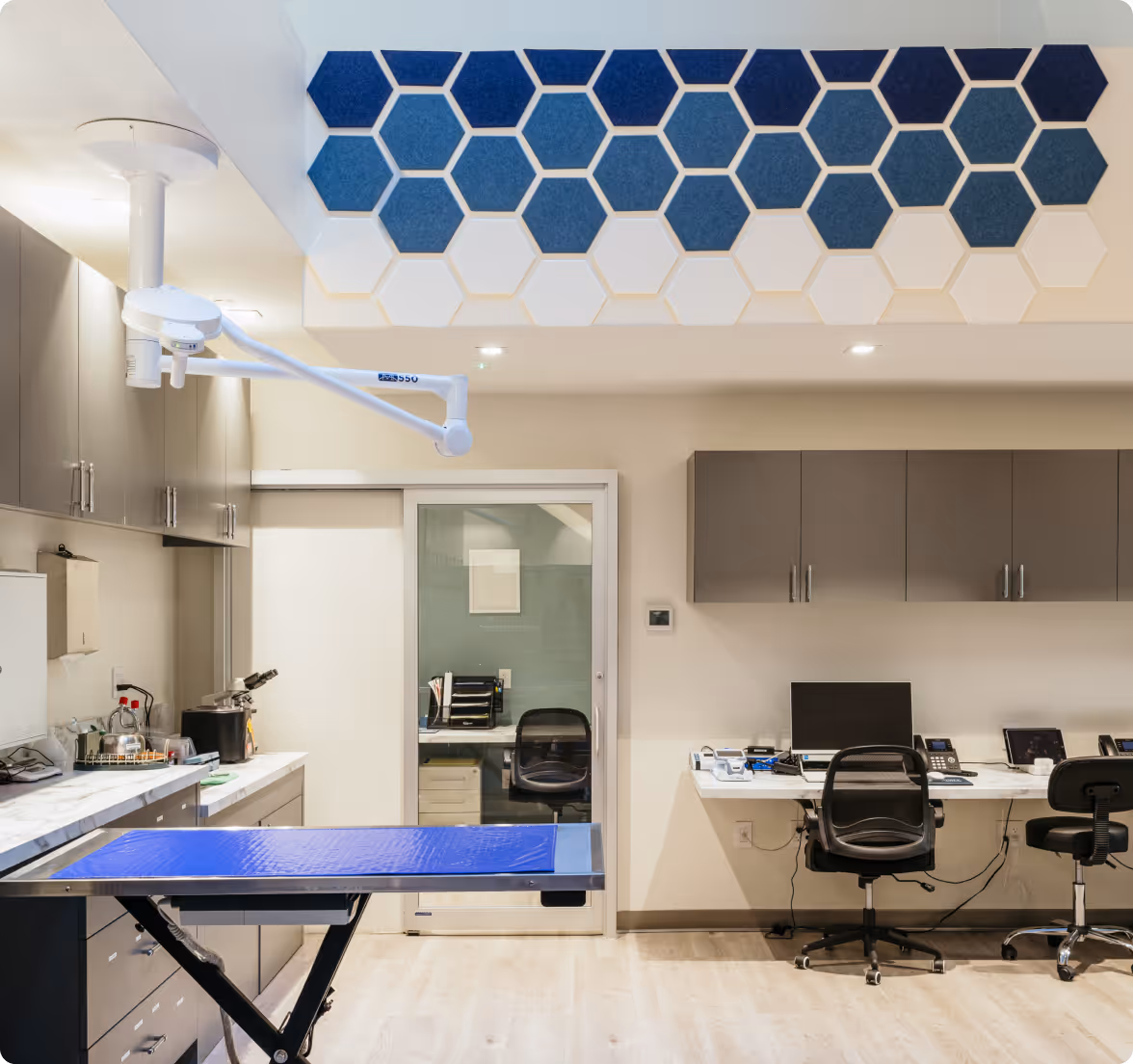 Why choose the
Veterinary Eye Center?