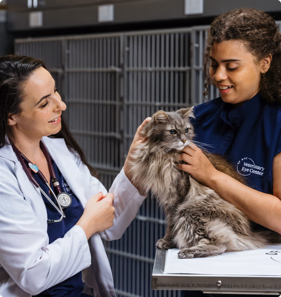 Expect When You Refer