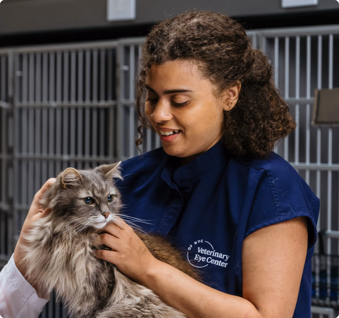 Interested in Working
at VEC?