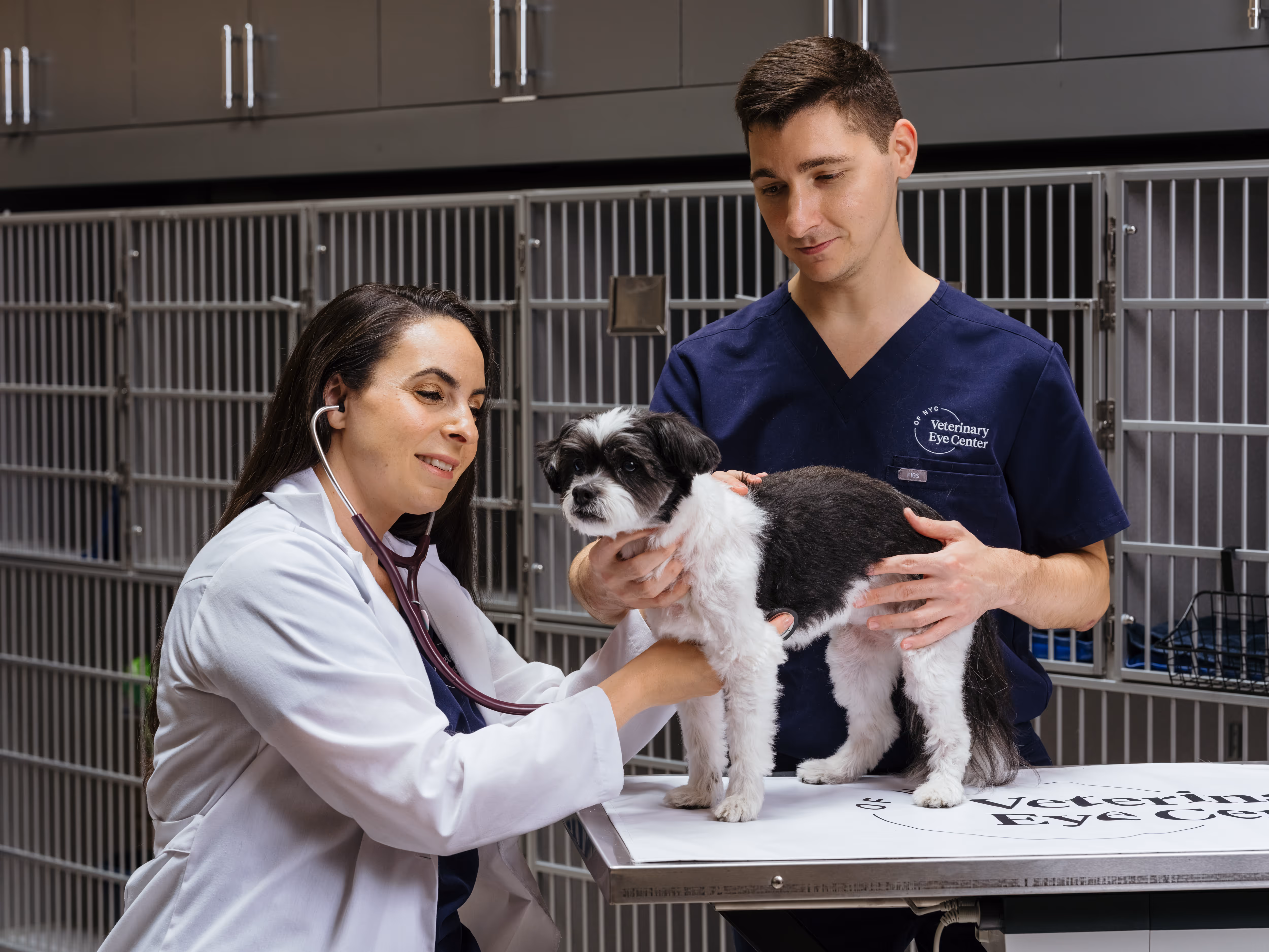 veterinary ophthalmologist examining dog