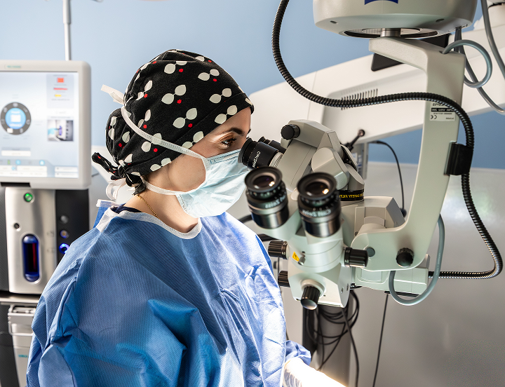 veterinary ophthalmologist performing surgery