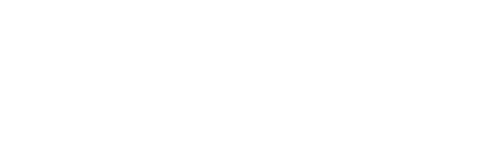 Montgomery Transport logo