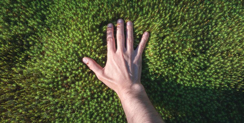 Landscape Design