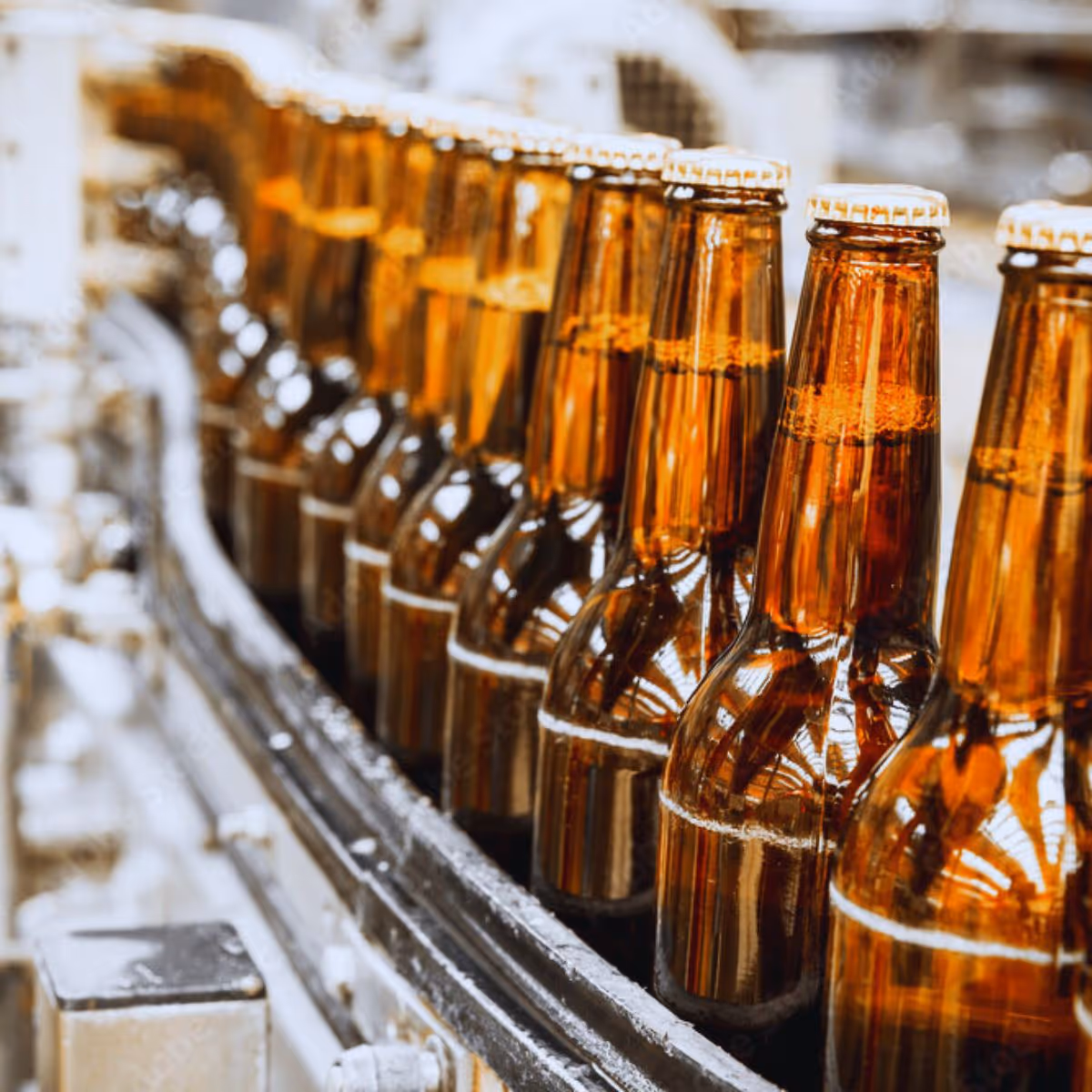Beer bottles moving along a high-speed brewery bottling line, monitored by Laminar’s inline spectral sensors for cleaner CIP and faster changeovers.