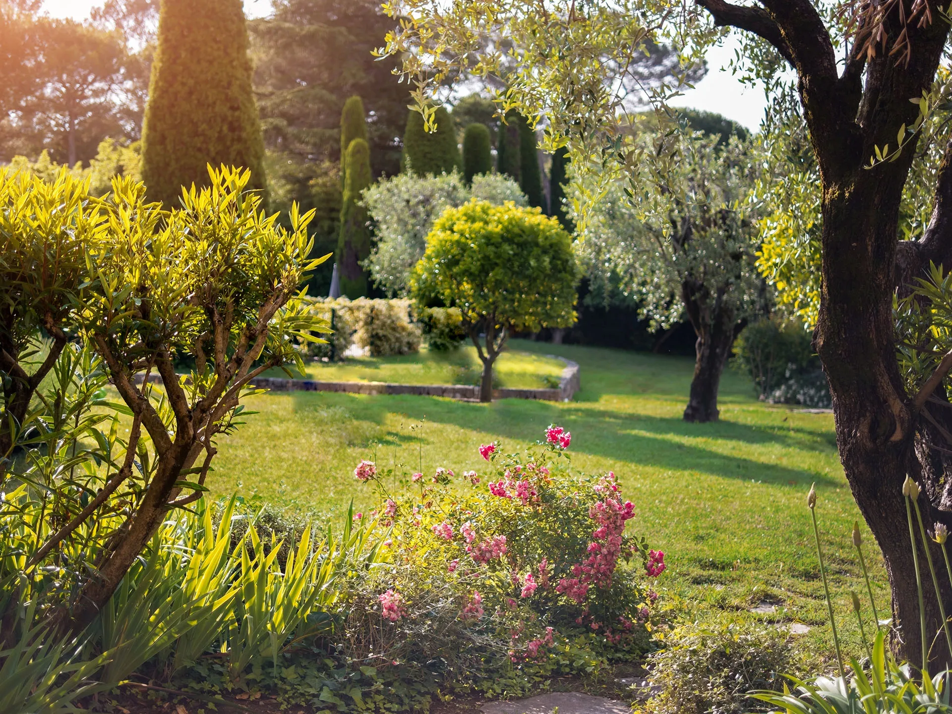 lawn mowing service Near me in Swanville, ME | Perfect Edge Lawn Services
