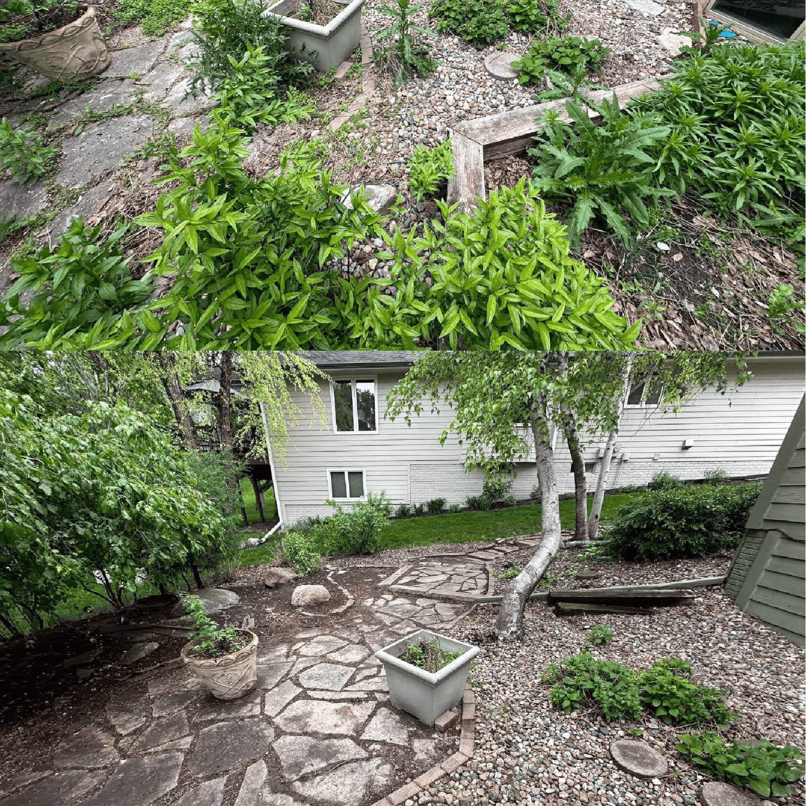 Local lawn care experts serving central Iowa communities